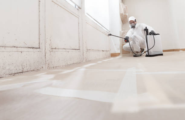 24/7 Emergency Mold Remediation experts in Ardmore, PA